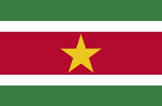 Flagge aus Surinam