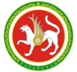 Wappen von Tatarstan
